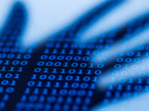 BalaBit élu Innovative Cyber Security Company aux IPACSO Awards 2015