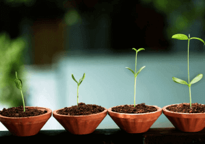 Pitch Your Start-up, deuxième édition