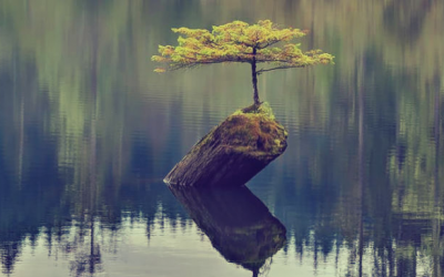 Résilience : êtes-vous prêt à investir davantage ?