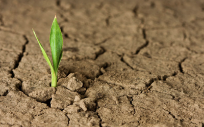 De la cyber-sécurité à la cyber-résilience